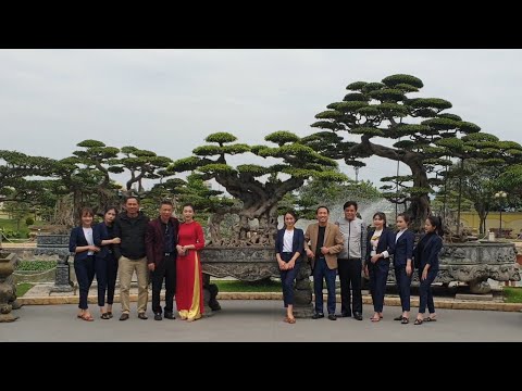 Video SH.3623.Thực hư về cây Sanh Thuyền Rồng và đôi Long... - youtube