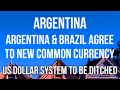 ARGENTINA &amp; BRAZIL Announce Discussions to Create Common Currency to Break Away from Using US Dollar