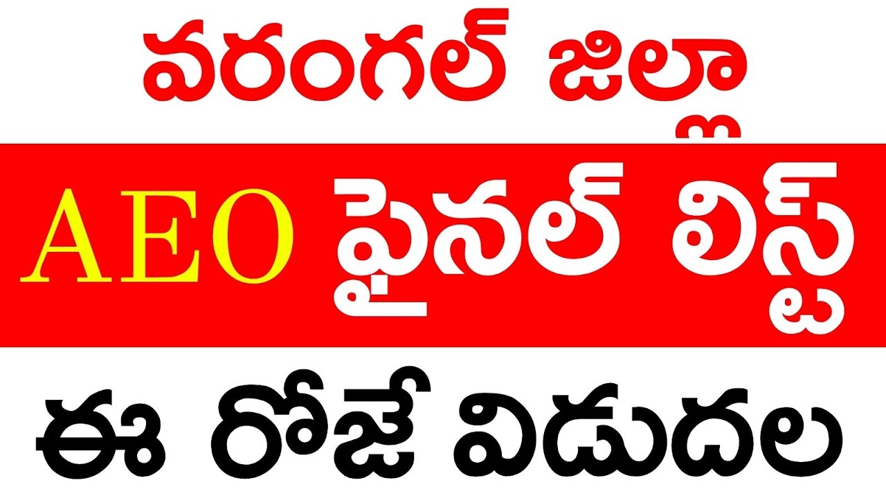 AEO Jobs in Telangana 2020 | Warangal District Selection List | AEO Recruitment 2020|V2 TV in Telugu