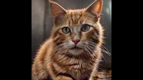 The Sun Solar Star Celestial Mars the Red Planet the Red Planet High Redshift Quasar