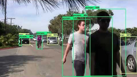 EfficientDet Demonstration