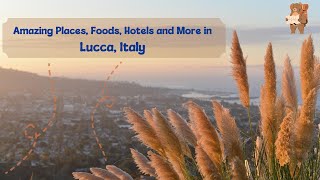 Amazing Places Foods Hotels and More in Lucca Italy