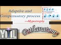 Adaptive &amp; Compensatory process — Hypertrophy