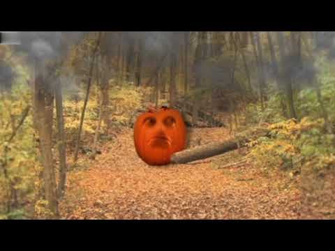 Yelling Pumpkin (FULLSCREEN HD) (Credit; bob herman for original)