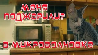 Кот Саймон в микроволновке. Фокус или чудо? Simon The Sphynx Говорящий кот Кот Саймон в микроволновке. Фокус или чудо? Simon The Sphynx Говорящий кот