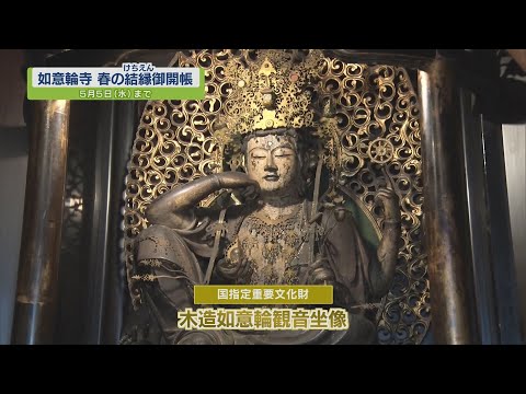 密教美術大観　第二巻　如来・観音 密教美術大観 第二巻 如来・観音 73aafc59b8c4e11970d6d0ee866753