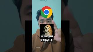 Catat 7 Fitur Rahasia Chrome Mobile Ini