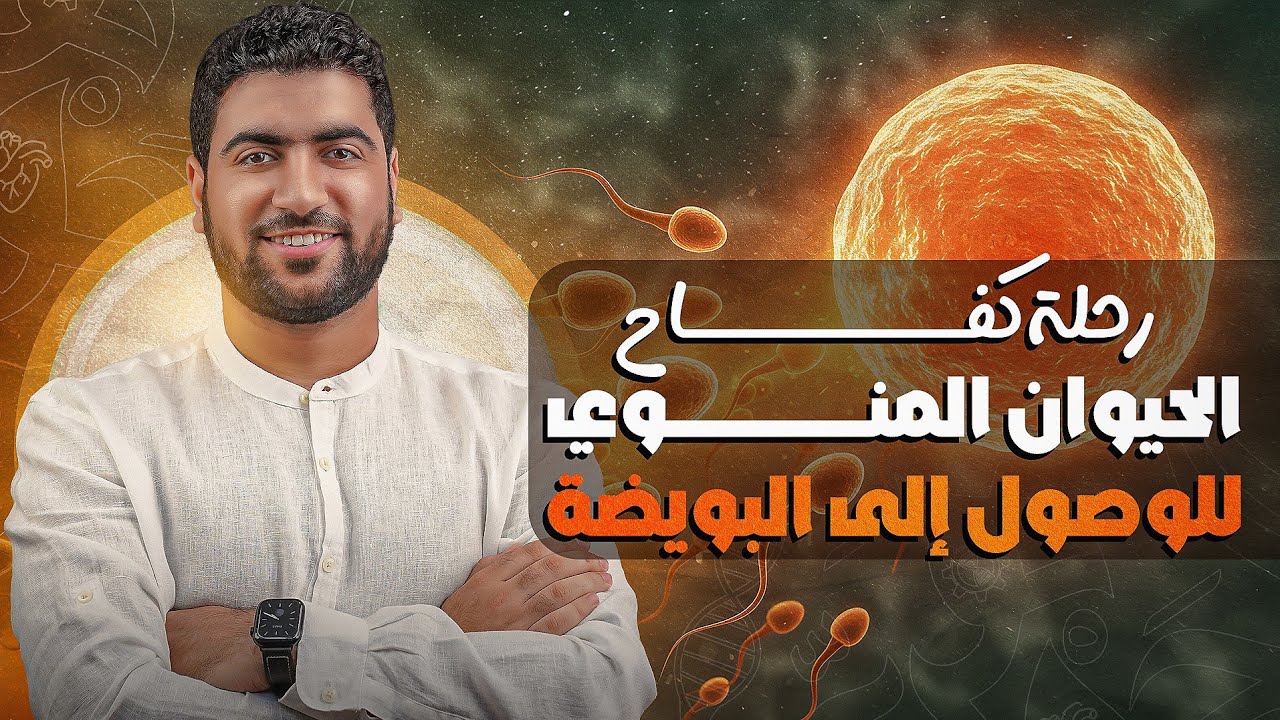 رحلة كفاح الحيوان المنوي للوصول للبويضة 😂😂