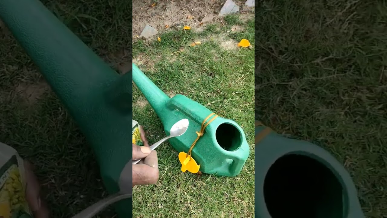 Floral Rejuvenation: Saving Your Drooping Flowers in No Time.....