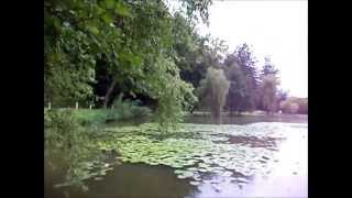 Ribnik Brestanica 2014