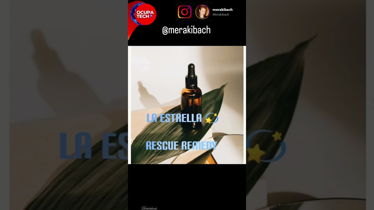 OCUPATECH | EMPRENDIMIENTO DE MERAKIBACH 