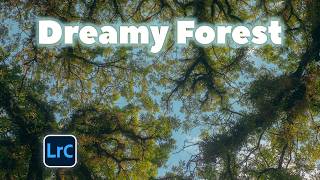 Editing Sunlight Through Trees for a Soft Dreamy Look | Lightroom Workflow screenshot 2