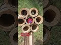 Fireworks Testing on Gu-ud Bamboo