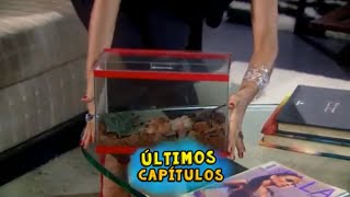 Chamada Chiquititas - Capitulo 329 (29.09.21)