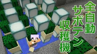 【カズクラ】全自動サボテン回収機できました！マイクラ実況 PART517