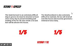 Celebrity je connais Saint Bernard vs Newfoundland Seth Cook Net Worth