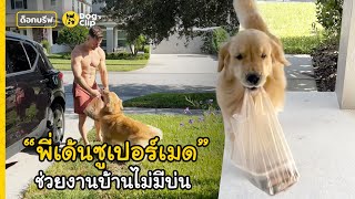 พี่เด้นซูเปอร์เมดช่วยงานบ้านไม่มีบ่น | Dog&#39;s Clip