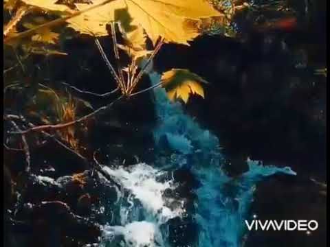 Easy Listening SOLITAIRE In Piano By Richard Clayderman