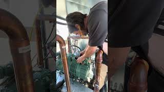 Compressor electrical terminal plate replacement