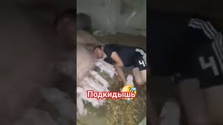 прикольное видео)) https://t.me/anecdotpriz