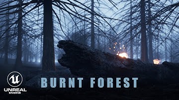 Unreal Engine 5.2 Burnt Forest