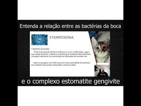 Vídeo: Aplausos para Garras: 7 Dicas de Treinamento para Riscos