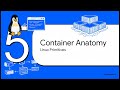 Mastering Docker Container Management & CLI Commands | Complete Hands-On Guide
