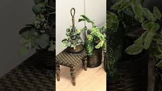 МК БАНКЕТКА #diy #rattan #handmade #home #homedecor #decor #своимируками #ручнаяработа
