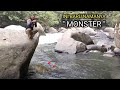 Pemancing mana yang gak panik !! kalau casting di sambar ikan Segede ini