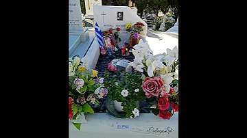 DEMIS FOR EVER IN OUR HEARTS 