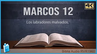 Marcos 12 - LOS LABRADORES MALVADOS 📖 Biblia Audio RVR1960 4K UHD