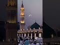 #trkf 🕋 Allah 🕋 Allah 🕋☝️..4k.