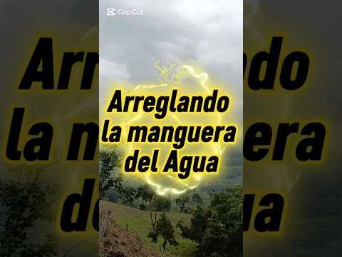 🎬 Video con opiniones sobre Mangueras De Agua Bricomart