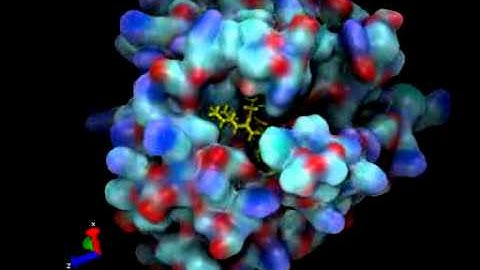 MD of thrombin-ligand complex