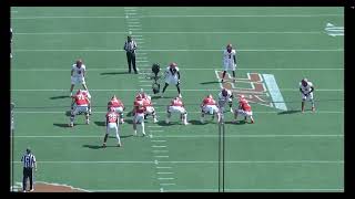 Clemson Shallow Sting