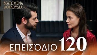 Ματωμένα Λουλούδια | Επεισόδιο 120 - Εκτεταμένη Έκδοση | Ελληνικοί Υπότιτλοι | Kan Cicekleri