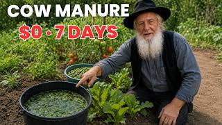 The $0 Weed Fertilizer That Beats Cow Manure — And Nobody Sells It | Amish Lifestyle
