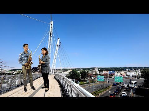 男人情女人心_Eb_動態歌譜