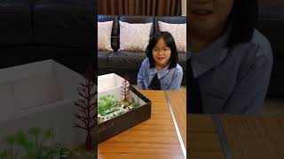 Noona s Shoebox Habitat Project
