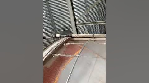 Overhead load out of corn