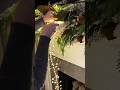 Christmas Garland for all decors