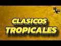 JAUMINA - CLASICOS TROPICALES 🍻
