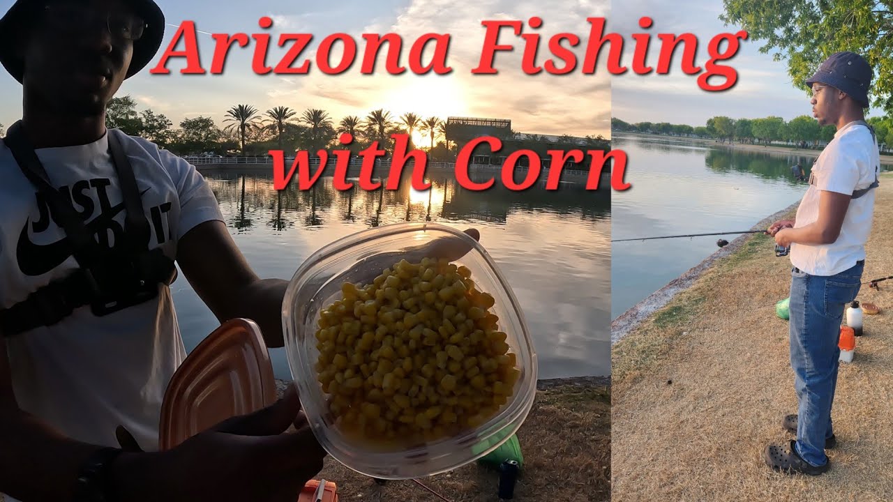 Morrison Ranch Lakes Urban Arizona Fishing with Corn | Morrison Ranch Lake - YouTube