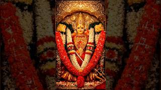 Om Sri Kanaka Durgayai Namaha | #durga #kanakadurga #jaimatadi #devotional #bhakti #phaneevlogs #ap