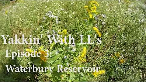 Waterbury Reservoir, VT | Yakkin with LL's