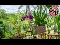 Romantic Riverside Ubud | Bali, Indonesia | Hotel Review ⭐