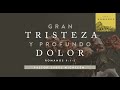 Gran tristeza y profundo dolor | Romanos 9:1-4 | Ps. Sugel Michelén