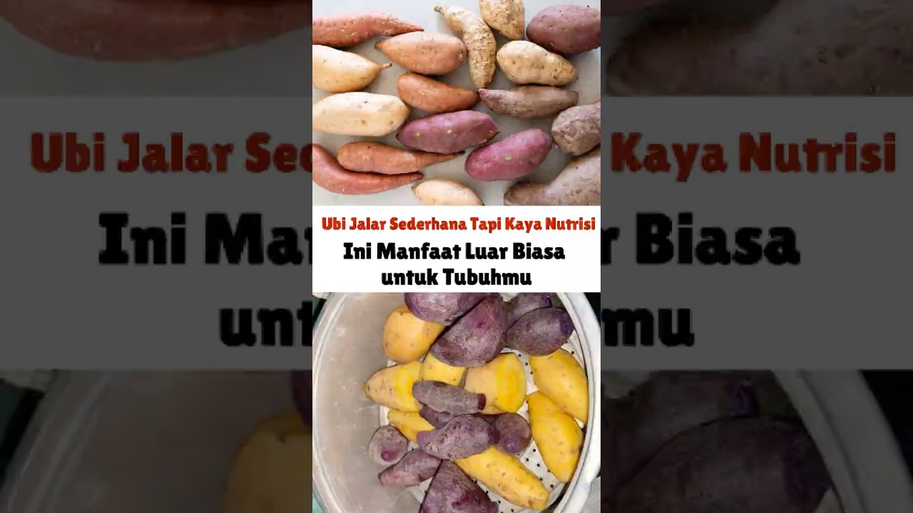 Ubi Jalar Sederhana, Tapi Kaya Nutrisi! Ini Manfaat Luar Biasa untuk Tubuhmu 