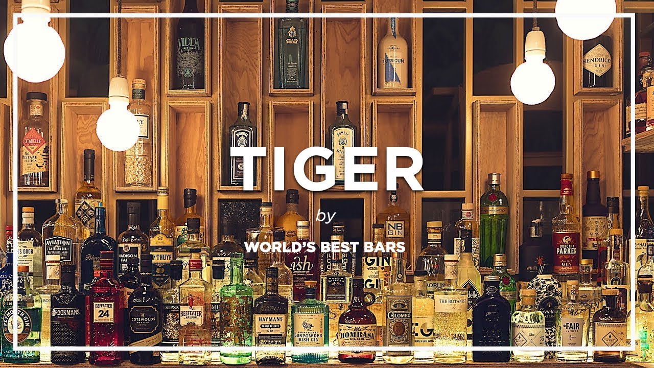 Paris Tiger Bar World S Best Bars Youtube