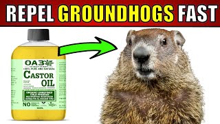 DIY GROUNDHOG SOLUTIONS :Expert Tips for Humanely Removing Groundhogs by Natural Health Remedies 1,473 views 1 month ago 6 minutes, 48 seconds
